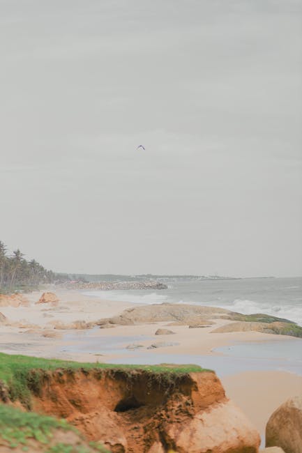 Scenic landscape representing long-term financial vision