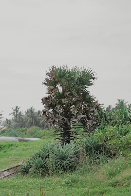 Organic growth through structured FAQs